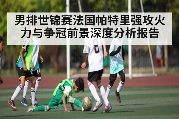男排世锦赛法国帕特里强攻火力与争冠前景深度分析报告